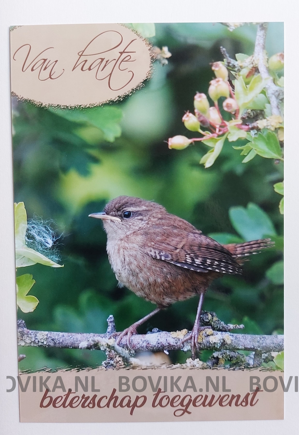 Van harte beterschap gewenst